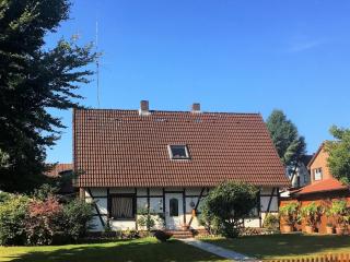 Am-Immenweg - Bad Fallingbostel - 0