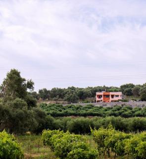 Kastro studios - Pigi - 9