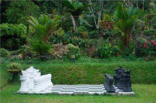 Ancoombra Tea Estate Bungalow - 3