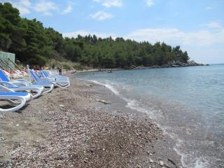 SutomoreLife - Sutomore - 3