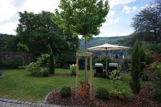 York Cottage - Traben-Trarbach - 5