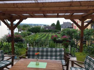 Bed and Breakfast - Rheingauer Hof - Oestrich-Winkel - 9