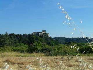 La mordorée - La Motte-dʼAigues - 2