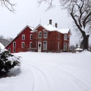 Strawberry Farm B and B - 4