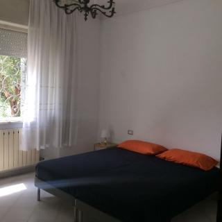 Casa dell'Ulivo Antico - Viareggio - 3
