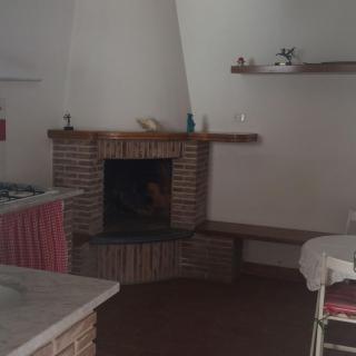 Casa dell'Ulivo Antico - Viareggio - 1