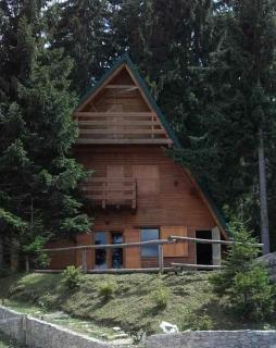Chalet The Best View - Vlasic - 5