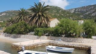 Apartments by the sea Viganj, Peljesac - 12564 - 9