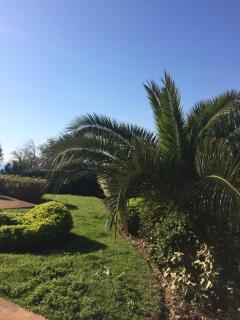 Jardins En Ville - Bastia - 6