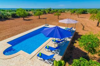 Finca Rustica Arcos - Campos - 1