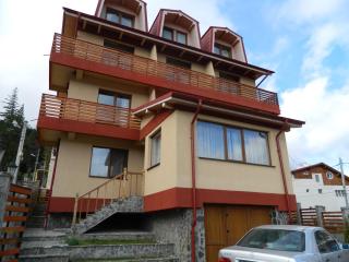 Vila Piano - Buşteni - 5