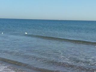Apartamento Sofia - Valencia - 8