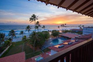 Citrus Hikkaduwa - 8