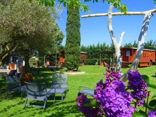 Gites et Roulottes Du Grand Puits - Saint-Laurent-dʼAigouze - 0