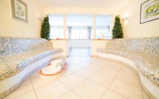 Aparthotel Steger Wagrain - Wagrain - 9