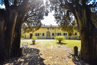 Villa San Dalmazio splendida appena 5km dal centro - Siena - 0