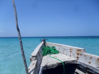 The Beach Crab Resort - Pangani - 9
