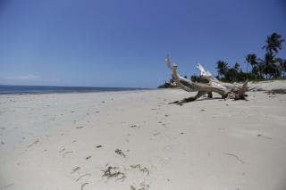 The Beach Crab Resort - Pangani - 1