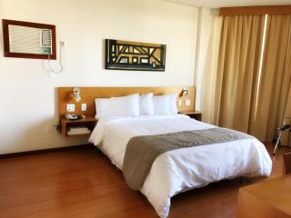 Serema Palace Hotel - Lavras - 8