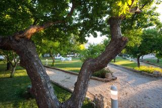 Villa Starace - Appartamento Rosmarino - Sannicola - 8