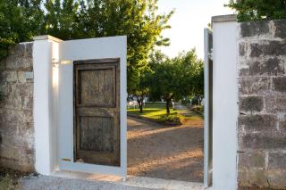 Villa Starace - Appartamento Rosmarino - Sannicola - 6