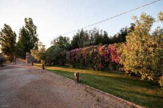 Casalventodimare e Tramontana - Montalto di Castro - 1