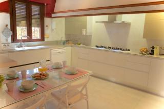 Villa Els Pins - Palma de Mallorca - 4