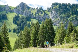 Bio-Berghotel Ifenblick - Balderschwang - 7