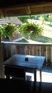 Rustic home Mia - Duga Resa - 6