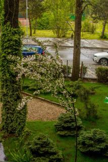 Cozy Olimp apartment - Neptun - 3