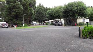 Pinewood Caravan Park - 5