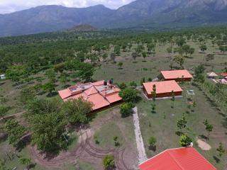 labdhi Resorts Masinagudi- Stag Groups not allowed - Masinagudi - 7