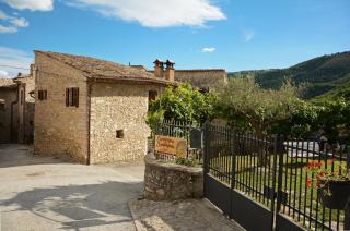 Agriturismo campagna in compagnia - 7