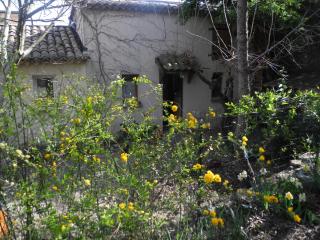 le vieux mas du domaine de Pontet-Fronzele - Lagorce - 6