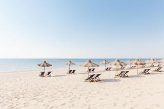 B&B Viale dei Pini - 6