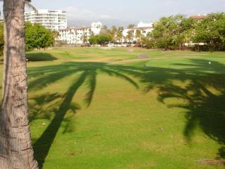 Villa Marina Vallarta - Puerto Vallarta - 8
