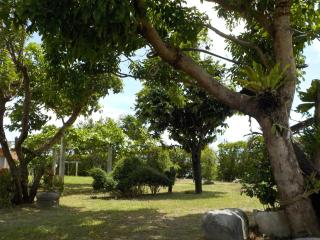 Qing Taoyuan Homestay - 3