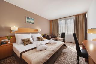 Hotel Termal - Terme 3000 - Sava Hotels & Resorts - Moravske-Toplice - 8