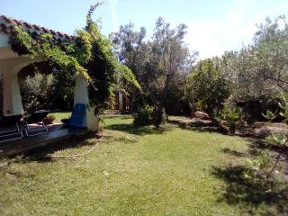 Villa Pontes - Marina di Orosei - 5