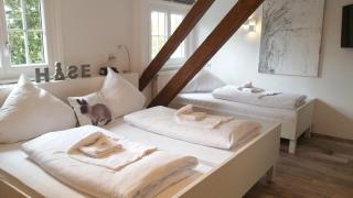 Hotel Hasen Kaufbeuren Allgäu - Kaufbeuren - 4
