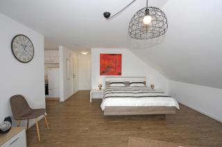 Speyer auf Zeit - FeWo & Boardinghouse - Speyer - 1