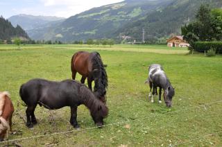 Alpenresidenz-Sonnwend - Zell am Ziller - 1