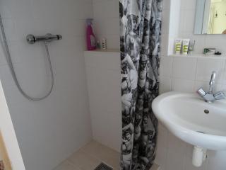 Natuurhuisje Silverhuys - 2