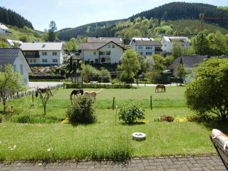 Ferienwohnung Lenne - Schmallenberg - 4