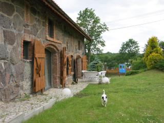Krzywe 3 - Krzywe - 9