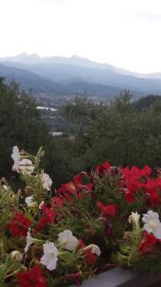Affittacamere arabafenice - 1