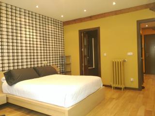 Grand Plaza Mio Cid - Burgos - 5