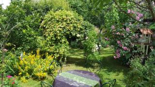 Les Hirondelles - Sainte-Suzanne - 2