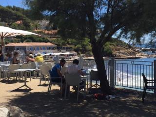 Sanary - Sanary-sur-Mer - 1