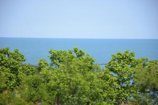 Razvan Holiday - Costinesti - 0